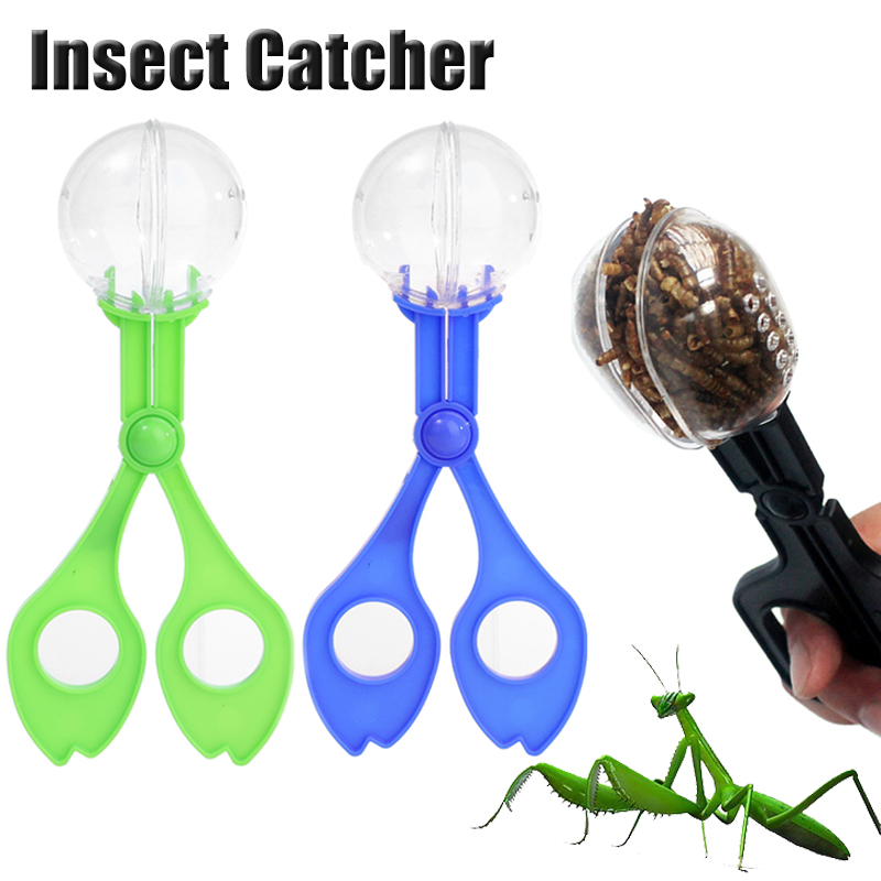 Kids Outdoor Adventure Insect  - Outdoor Adventure For Kids ulasan dan harga